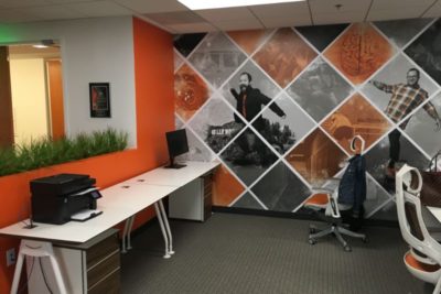 Chicago Wall Murals for Offices