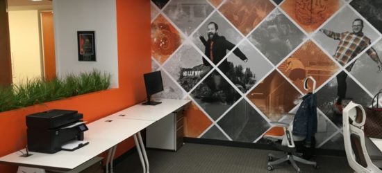 Chicago Wall Murals for Offices